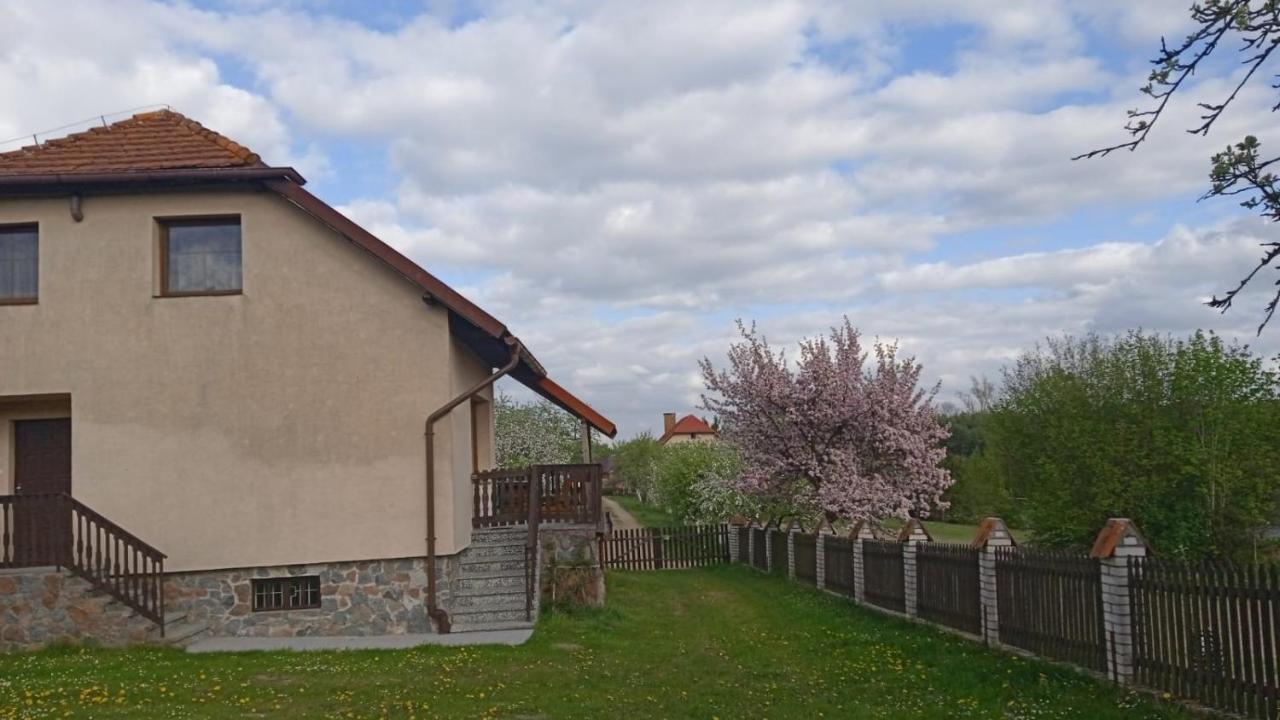 Wypoczynek Kocia Góra Vila Dziemiany Exterior foto