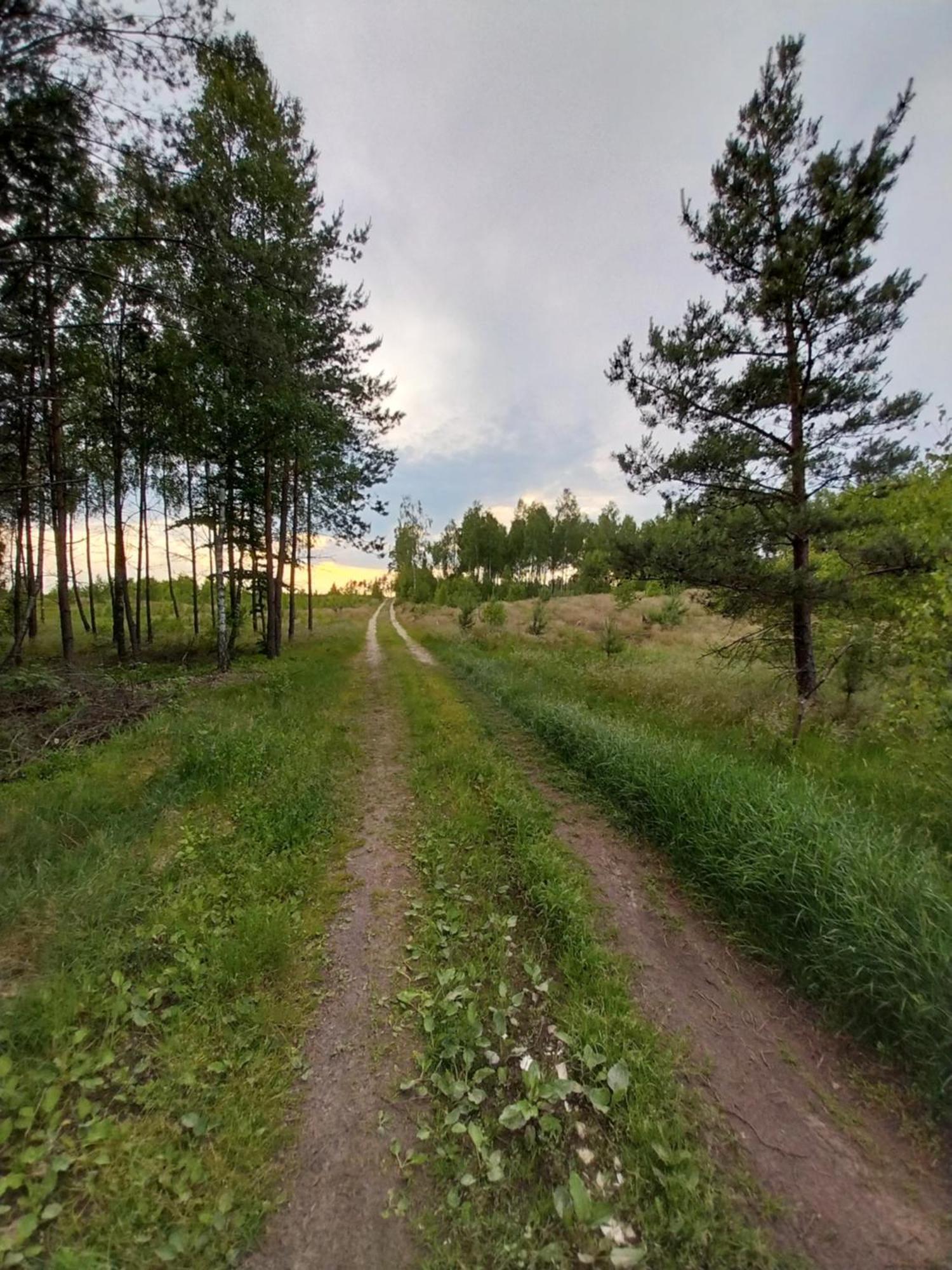 Wypoczynek Kocia Góra Vila Dziemiany Exterior foto
