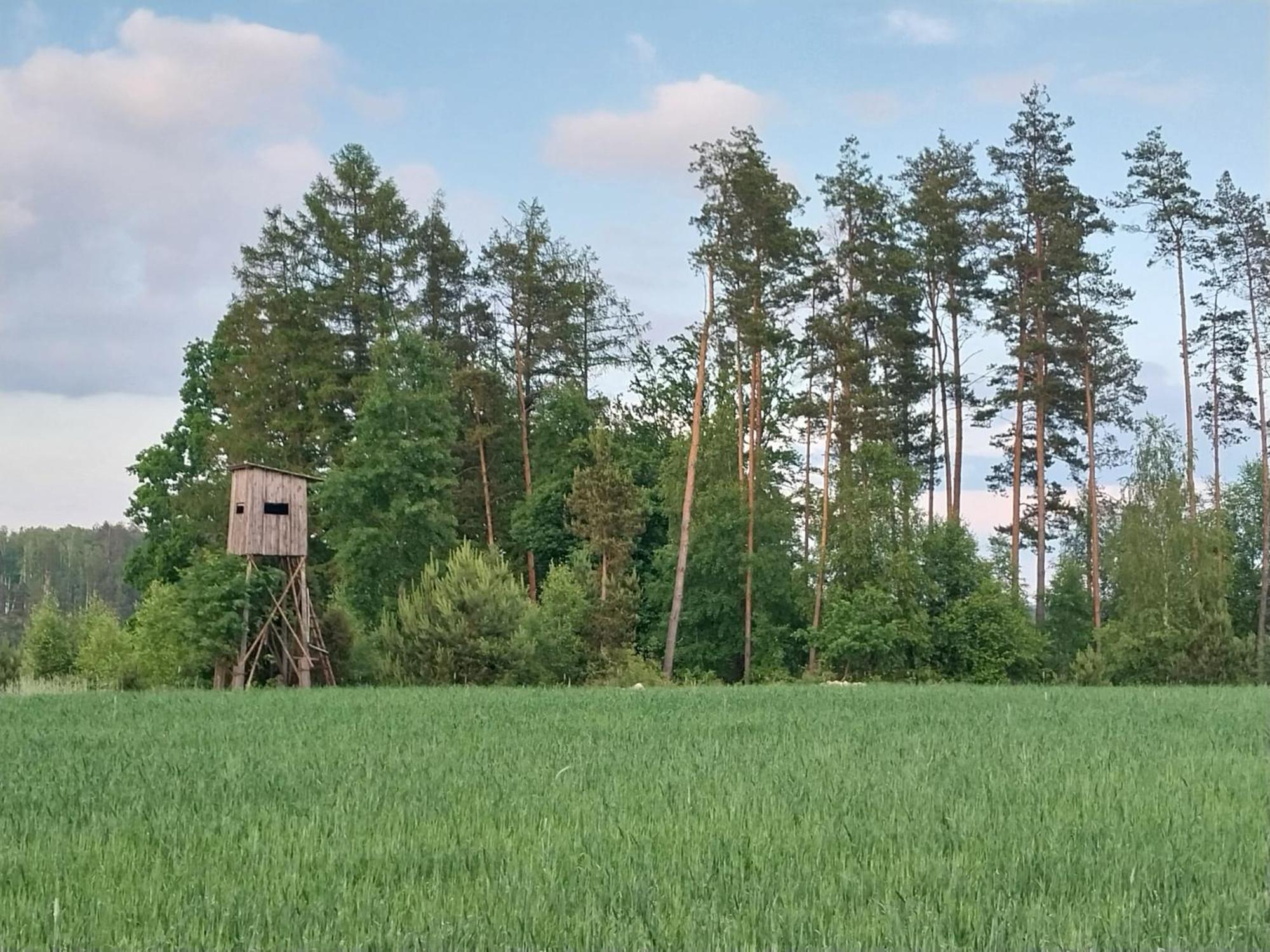 Wypoczynek Kocia Góra Vila Dziemiany Exterior foto