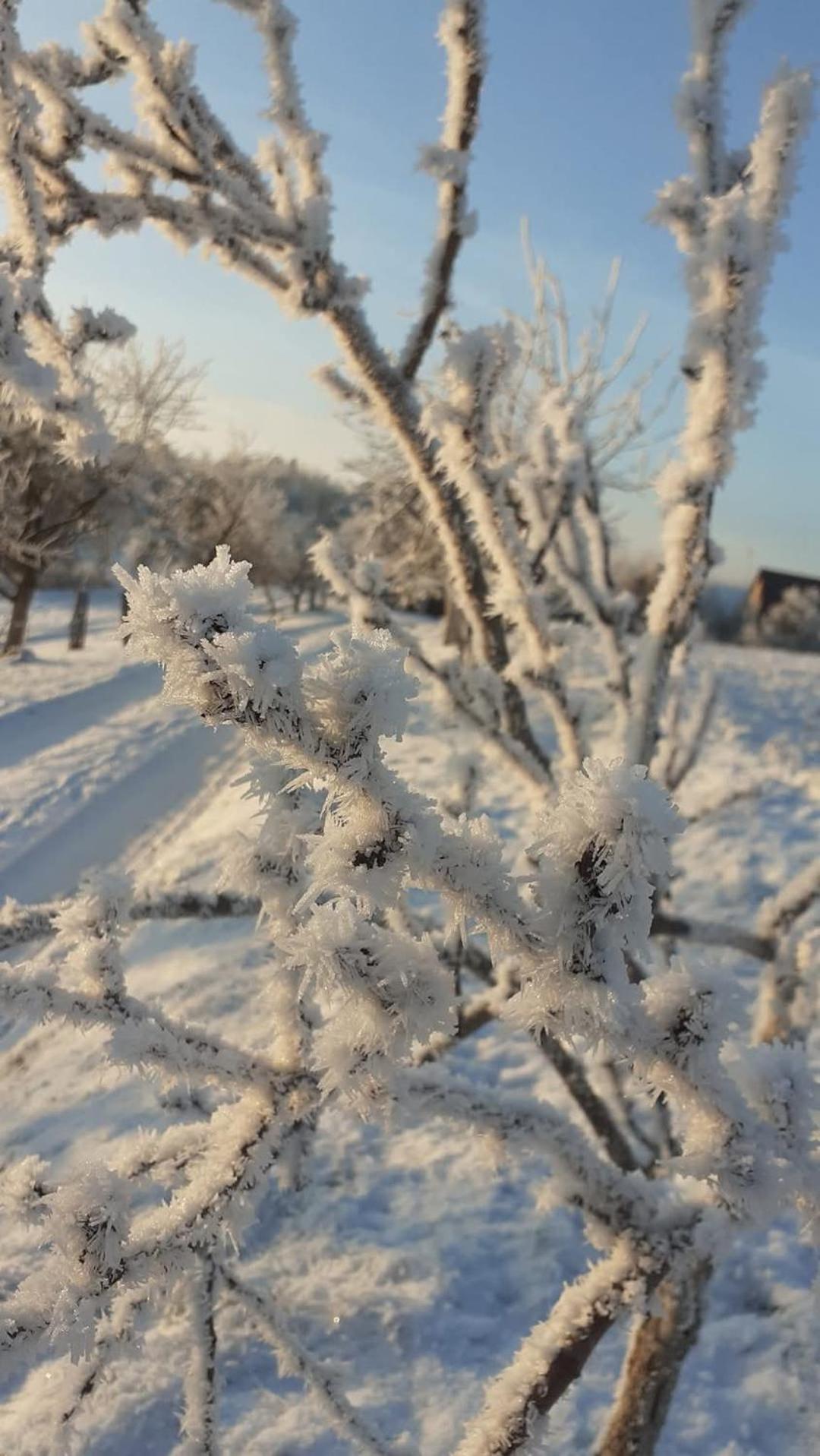 Wypoczynek Kocia Góra Vila Dziemiany Exterior foto